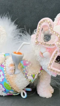Mundo Fabiola – Expo Hobby en la Rural – Porcelana fria (15)